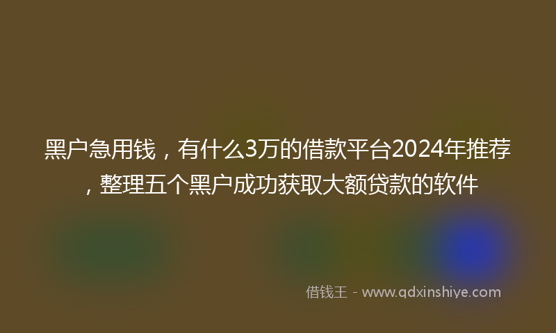 黑户急用钱，有什么3万的借款平台2024年推荐，整理五个黑户成功获取大额贷款的软件