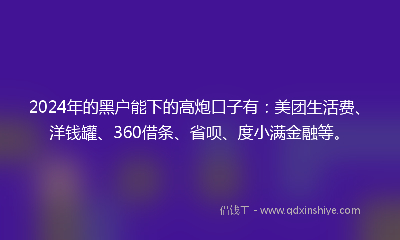 2024年的黑户能下的高炮口子有：美团生活费、洋钱罐、360借条、省呗、度小满金融等。