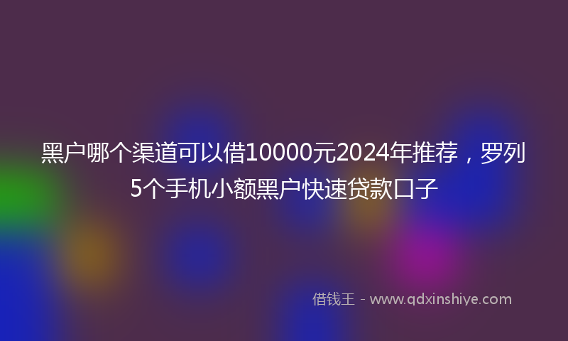 黑户哪个渠道可以借10000元2024年推荐，罗列5个手机小额黑户快速贷款口子