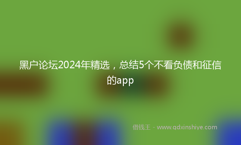 黑户论坛2024年精选，总结5个不看负债和征信的app