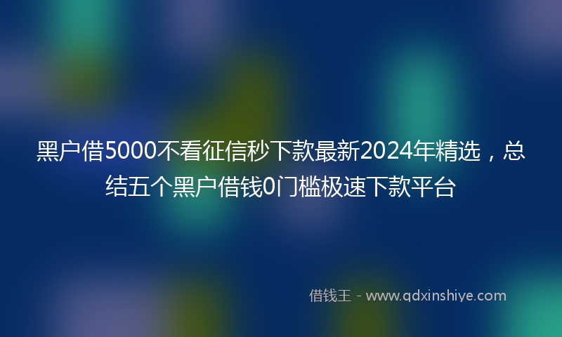 黑户借5000不看征信秒下款最新2024年精选，总结五个黑户借钱0门槛极速下款平台
