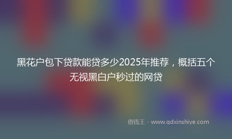 黑花户包下贷款能贷多少2025年推荐，概括五个无视黑白户秒过的网贷