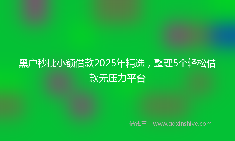 黑户秒批小额借款2025年精选，整理5个轻松借款无压力平台