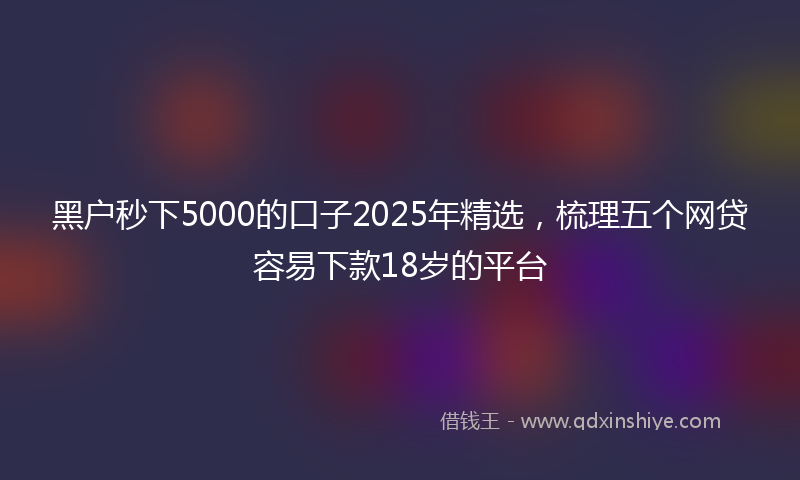 黑户秒下5000的口子2025年精选，梳理五个网贷容易下款18岁的平台