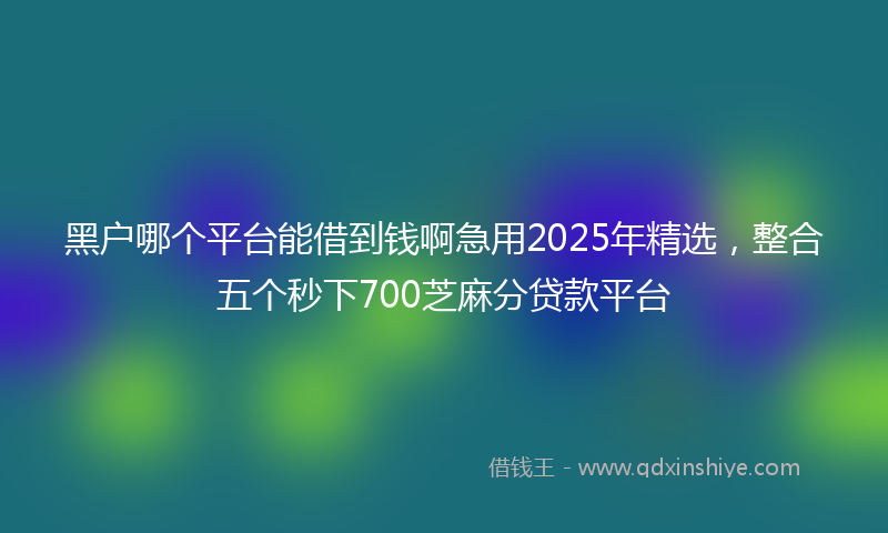 黑户哪个平台能借到钱啊急用2025年精选，整合五个秒下700芝麻分贷款平台