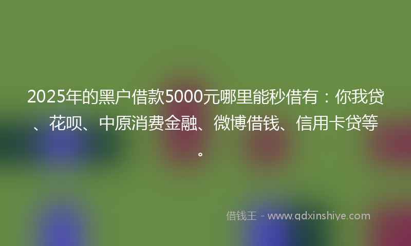 2025年的黑户借款5000元哪里能秒借有：你我贷、花呗、中原消费金融、微博借钱、信用卡贷等。
