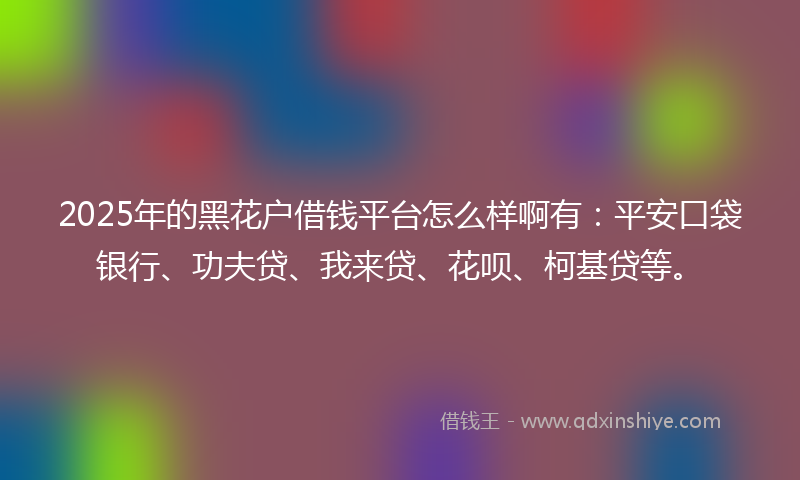 2025年的黑花户借钱平台怎么样啊有：平安口袋银行、功夫贷、我来贷、花呗、柯基贷等。