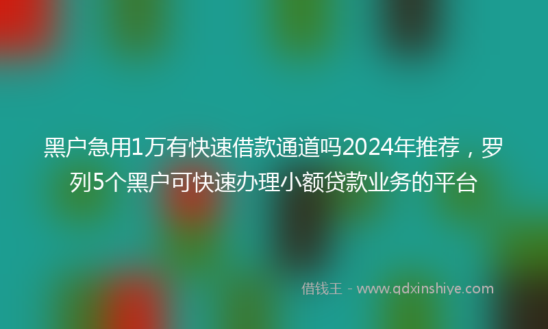 黑户急用1万有快速借款通道吗2024年推荐，罗列5个黑户可快速办理小额贷款业务的平台