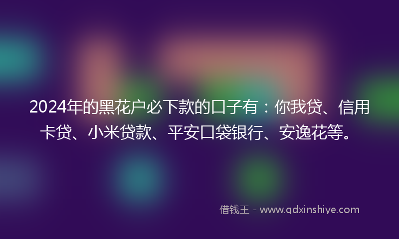 2024年的黑花户必下款的口子有：你我贷、信用卡贷、小米贷款、平安口袋银行、安逸花等。