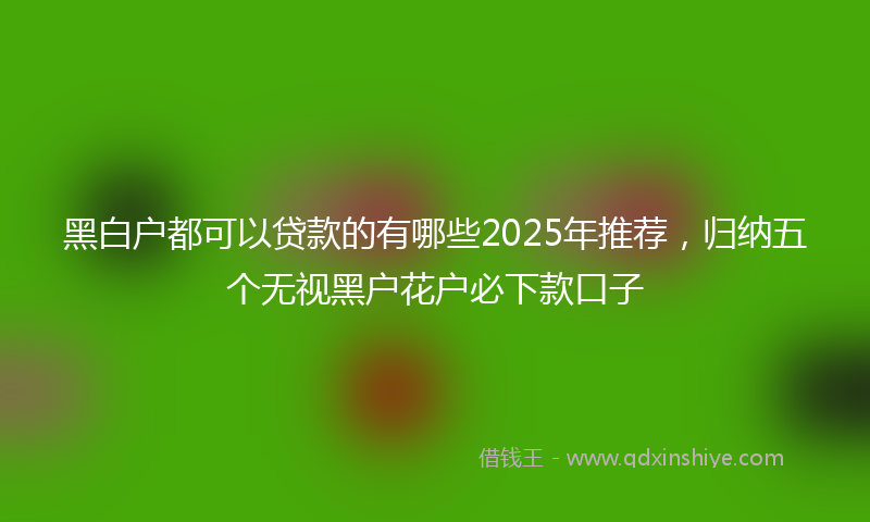 黑白户都可以贷款的有哪些2025年推荐，归纳五个无视黑户花户必下款口子