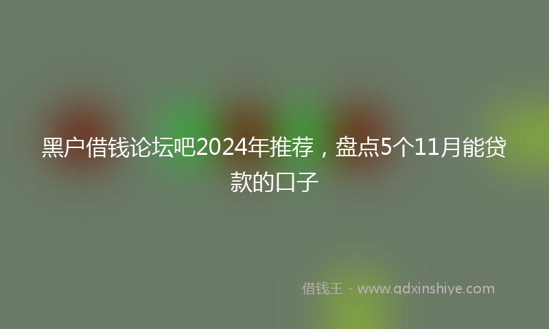 黑户借钱论坛吧2024年推荐，盘点5个11月能贷款的口子