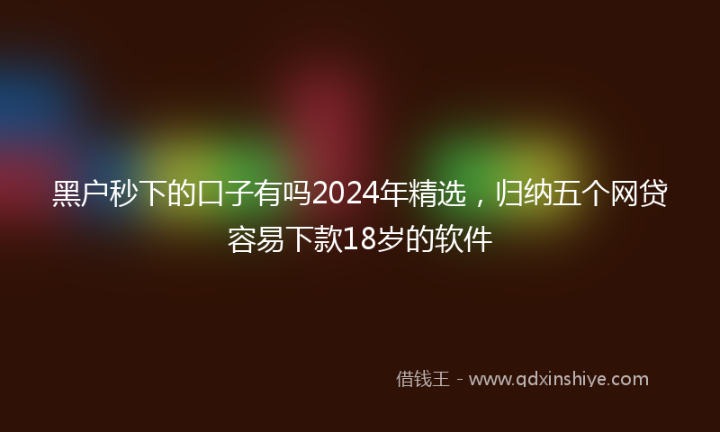 黑户秒下的口子有吗2024年精选，归纳五个网贷容易下款18岁的软件