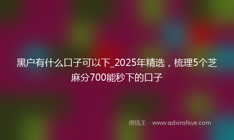 黑户有什么口子可以下_2025年精选，梳理5个芝麻分700能秒下的口子