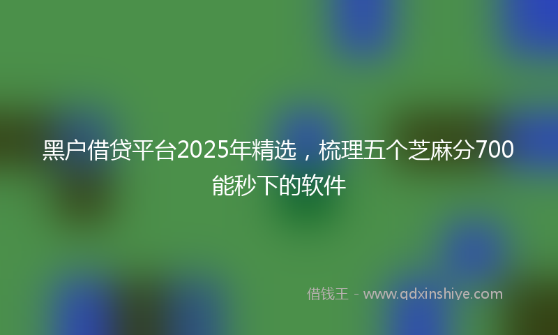 黑户借贷平台2025年精选，梳理五个芝麻分700能秒下的软件