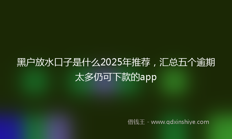 黑户放水口子是什么2025年推荐，汇总五个逾期太多仍可下款的app