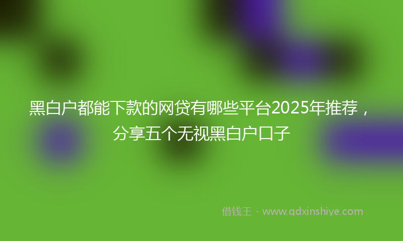 黑白户都能下款的网贷有哪些平台2025年推荐，分享五个无视黑白户口子