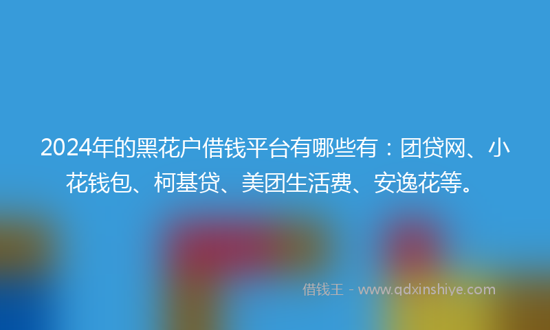 2024年的黑花户借钱平台有哪些有：团贷网、小花钱包、柯基贷、美团生活费、安逸花等。