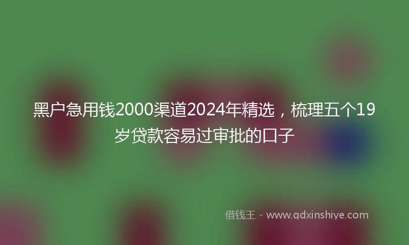 黑户急用钱2000渠道2024年精选,梳理五个19岁贷款容易过审批的口子