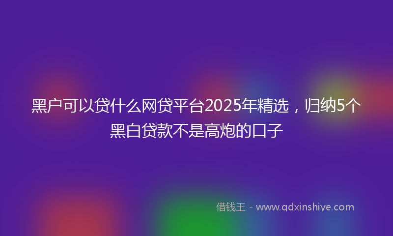 黑户可以贷什么网贷平台2025年精选，归纳5个黑白贷款不是高炮的口子