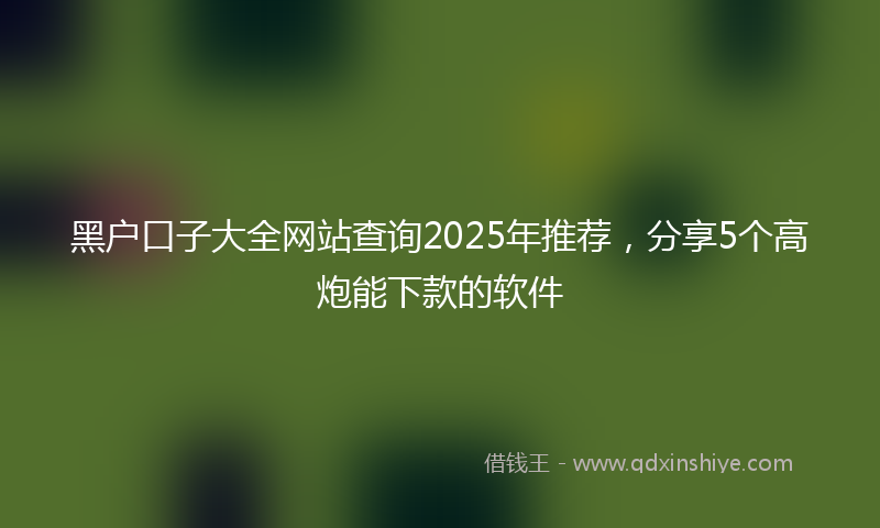 黑户口子大全网站查询2025年推荐，分享5个高炮能下款的软件