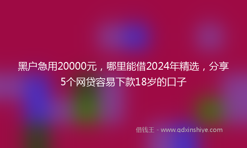 黑户急用20000元，哪里能借2024年精选，分享5个网贷容易下款18岁的口子