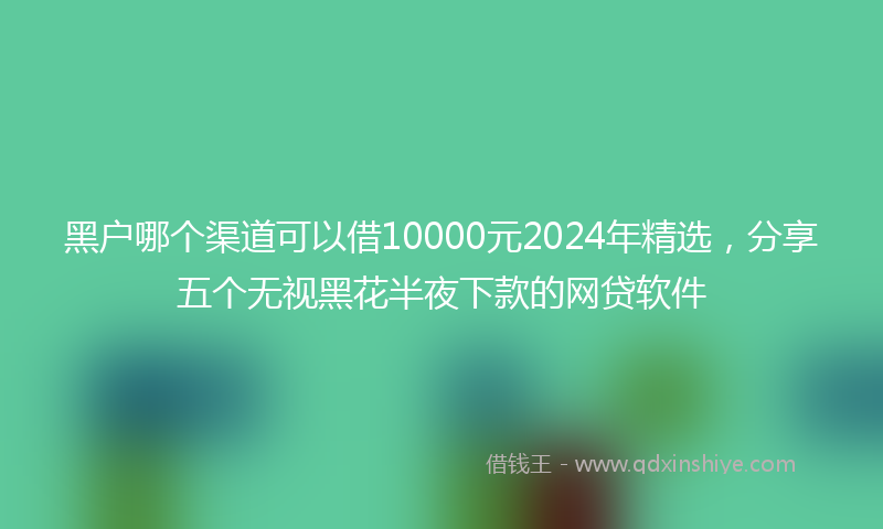 黑户哪个渠道可以借10000元2024年精选，分享五个无视黑花半夜下款的网贷软件
