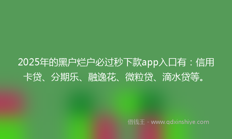 2025年的黑户烂户必过秒下款app入口有：信用卡贷、分期乐、融逸花、微粒贷、滴水贷等。