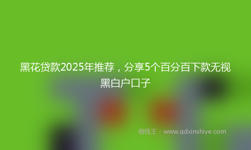 黑花贷款2025年推荐，分享5个百分百下款无视黑白户口子