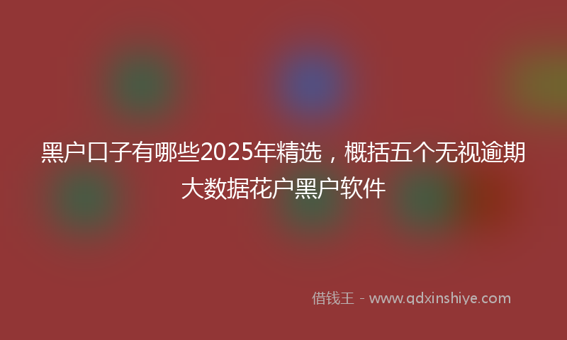 黑户口子有哪些2025年精选，概括五个无视逾期大数据花户黑户软件