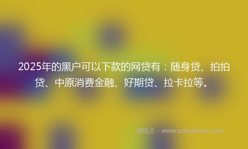 2025年的黑户可以下款的网贷有：随身贷、拍拍贷、中原消费金融、好期贷、拉卡拉等。