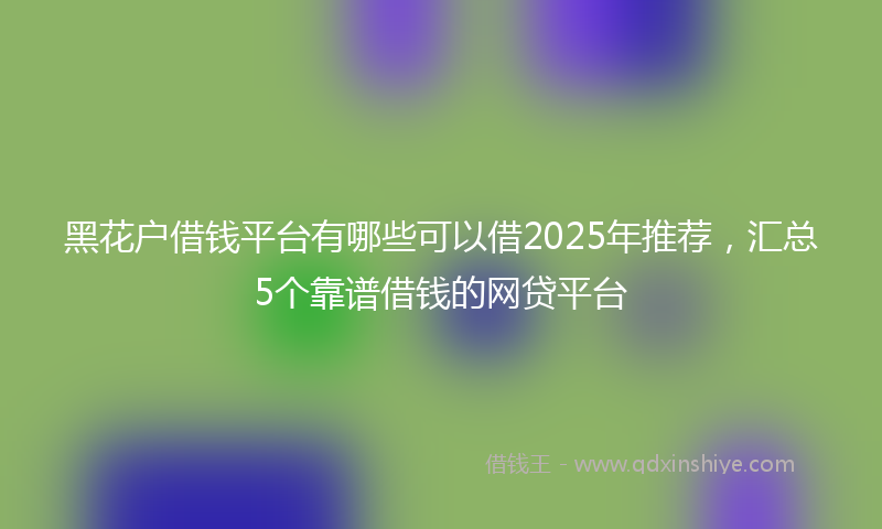 黑花户借钱平台有哪些可以借2025年推荐，汇总5个靠谱借钱的网贷平台