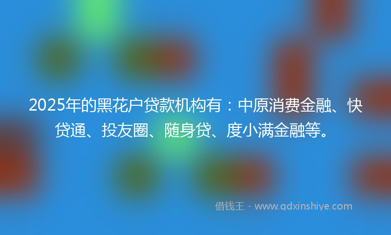 2025年的黑花户贷款机构有：中原消费金融、快贷通、投友圈、随身贷、度小满金融等。