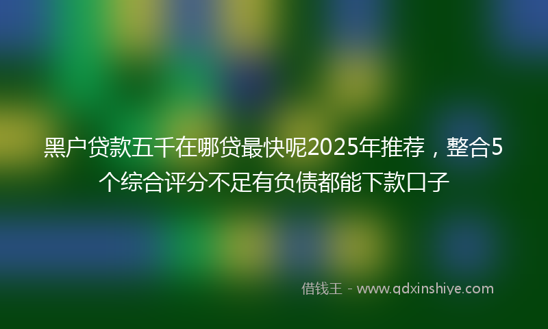 黑户贷款五千在哪贷最快呢2025年推荐，整合5个综合评分不足有负债都能下款口子