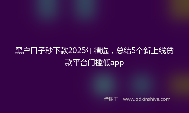 黑户口子秒下款2025年精选，总结5个新上线贷款平台门槛低app