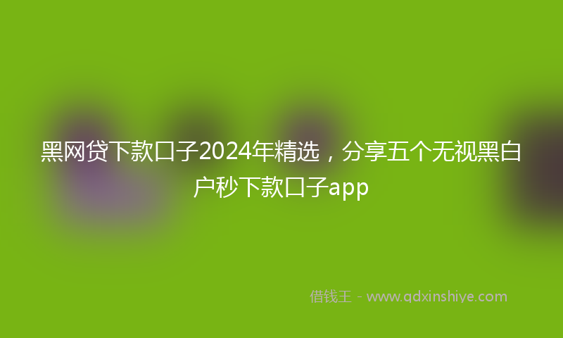 黑网贷下款口子2024年精选，分享五个无视黑白户秒下款口子app