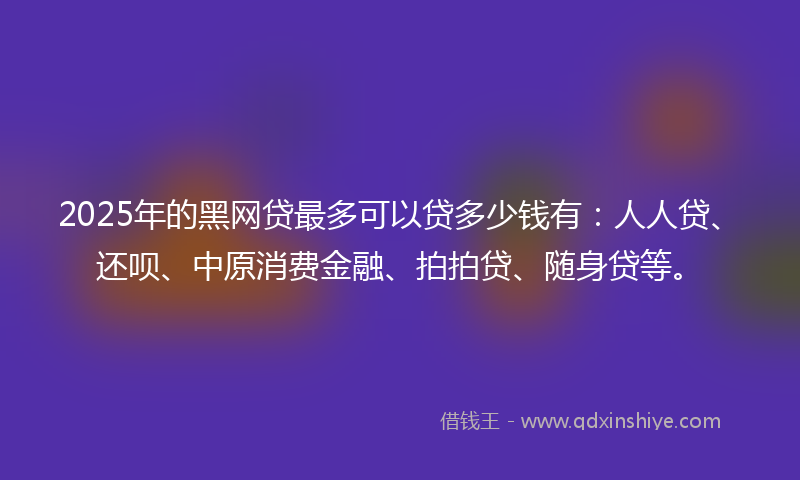 2025年的黑网贷最多可以贷多少钱有：人人贷、还呗、中原消费金融、拍拍贷、随身贷等。