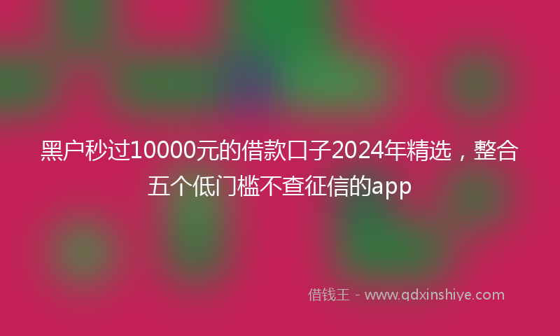 黑户秒过10000元的借款口子2024年精选，整合五个低门槛不查征信的app