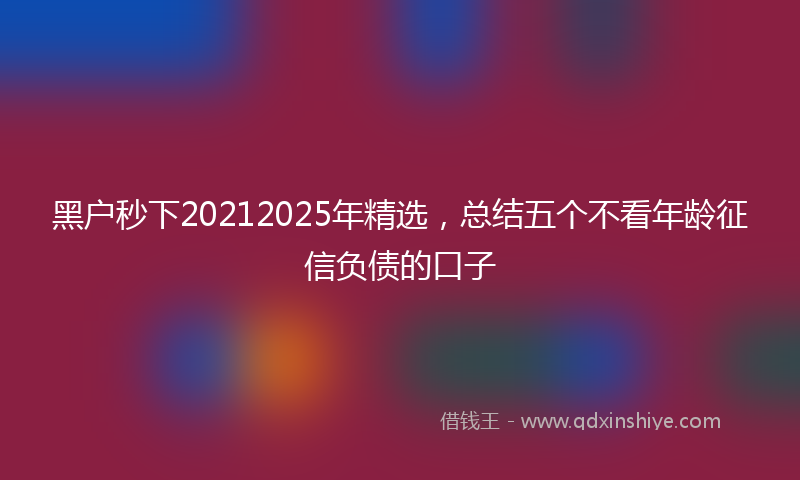 黑户秒下20212025年精选，总结五个不看年龄征信负债的口子