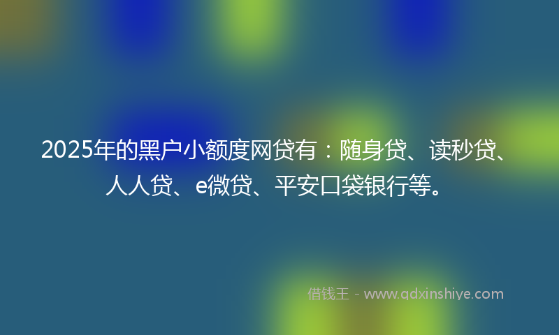 2025年的黑户小额度网贷有：随身贷、读秒贷、人人贷、e微贷、平安口袋银行等。