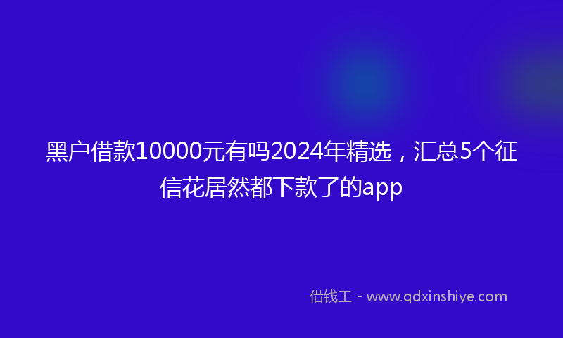 黑户借款10000元有吗2024年精选，汇总5个征信花居然都下款了的app