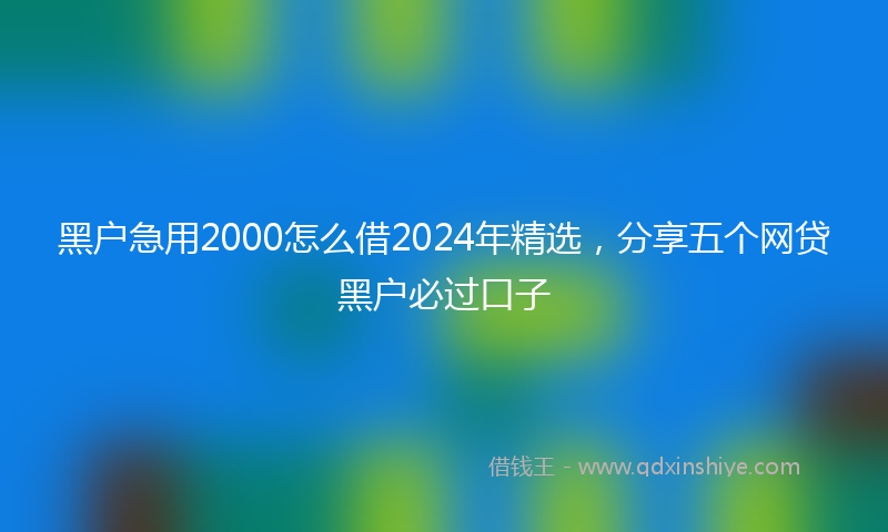 黑户急用2000怎么借2024年精选，分享五个网贷黑户必过口子