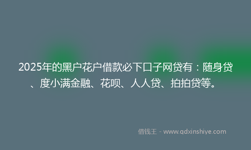 2025年的黑户花户借款必下口子网贷有：随身贷、度小满金融、花呗、人人贷、拍拍贷等。