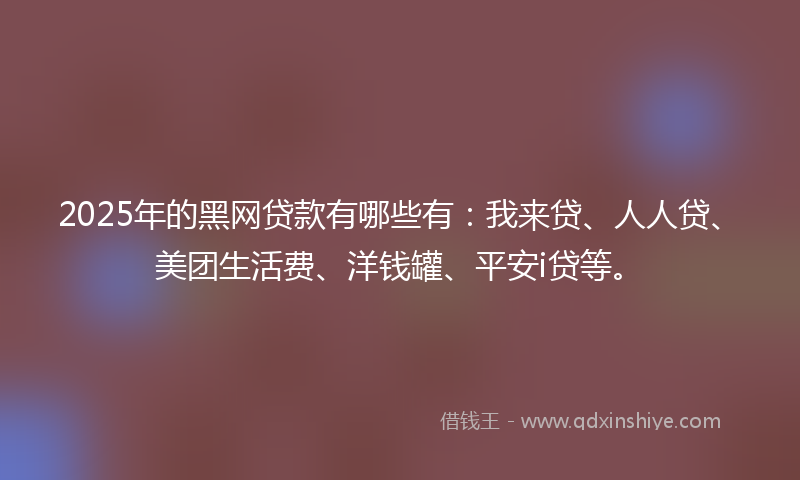 2025年的黑网贷款有哪些有：我来贷、人人贷、美团生活费、洋钱罐、平安i贷等。