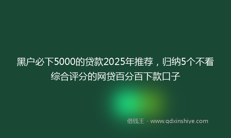 黑户必下5000的贷款2025年推荐，归纳5个不看综合评分的网贷百分百下款口子