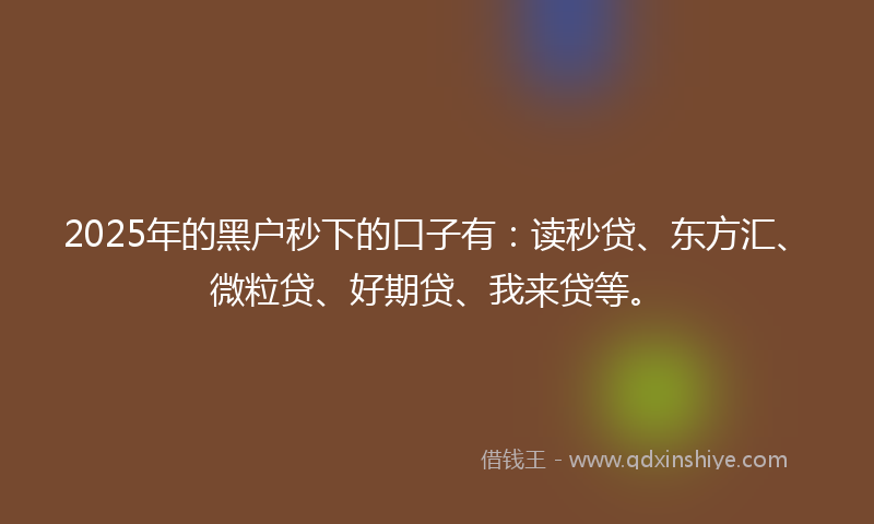 2025年的黑户秒下的口子有：读秒贷、东方汇、微粒贷、好期贷、我来贷等。