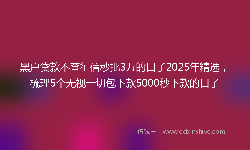 黑户贷款不查征信秒批3万的口子2025年精选，梳理5个无视一切包下款5000秒下款的口子