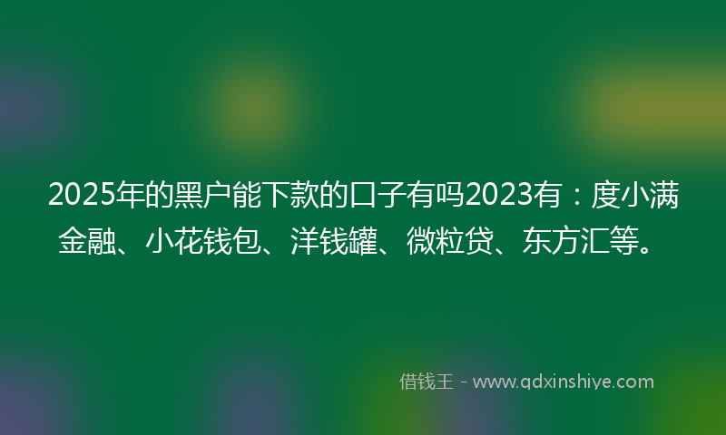 2025年的黑户能下款的口子有吗2023有：度小满金融、小花钱包、洋钱罐、微粒贷、东方汇等。