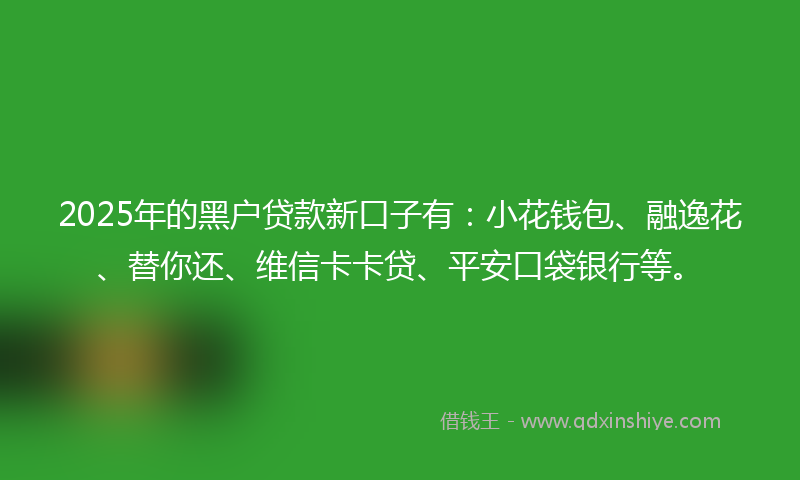 2025年的黑户贷款新口子有：小花钱包、融逸花、替你还、维信卡卡贷、平安口袋银行等。