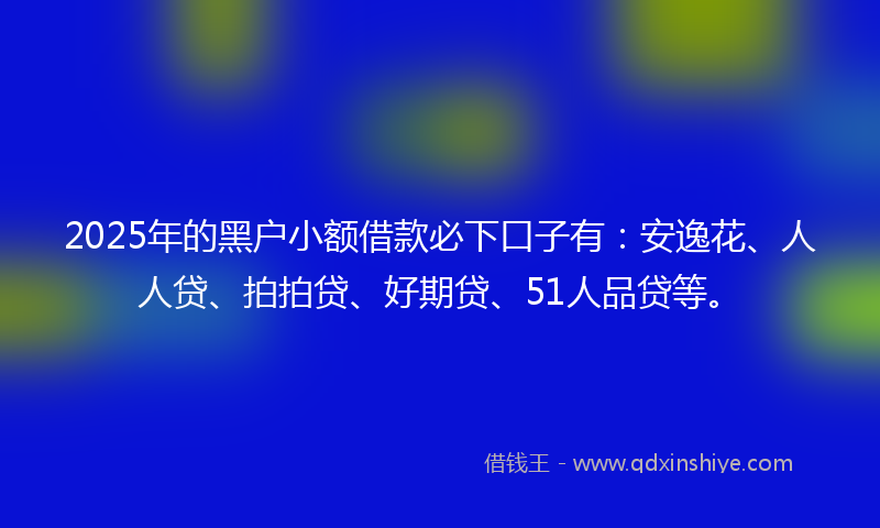 2025年的黑户小额借款必下口子有：安逸花、人人贷、拍拍贷、好期贷、51人品贷等。