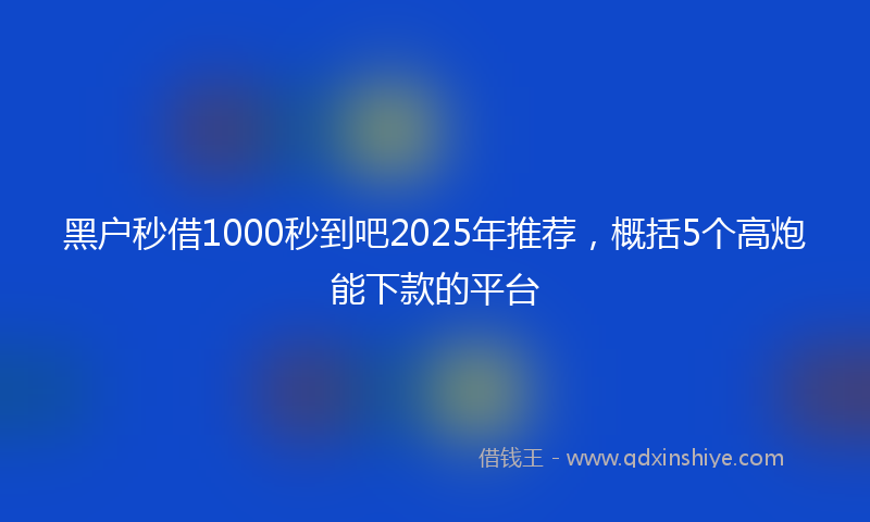 黑户秒借1000秒到吧2025年推荐，概括5个高炮能下款的平台